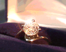 ring in box 1.gif (16728 bytes)